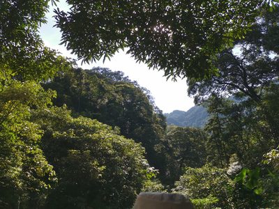 微信图片_201907141449406.jpg